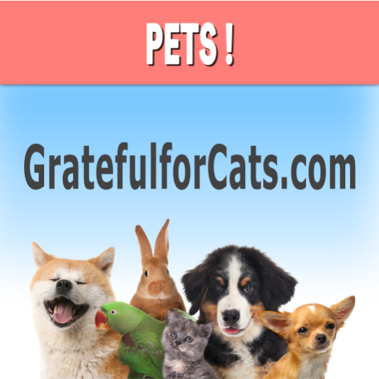 Picture of gratefulforcats.com Personalized Email